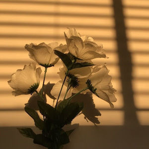 Meet your Posher, French